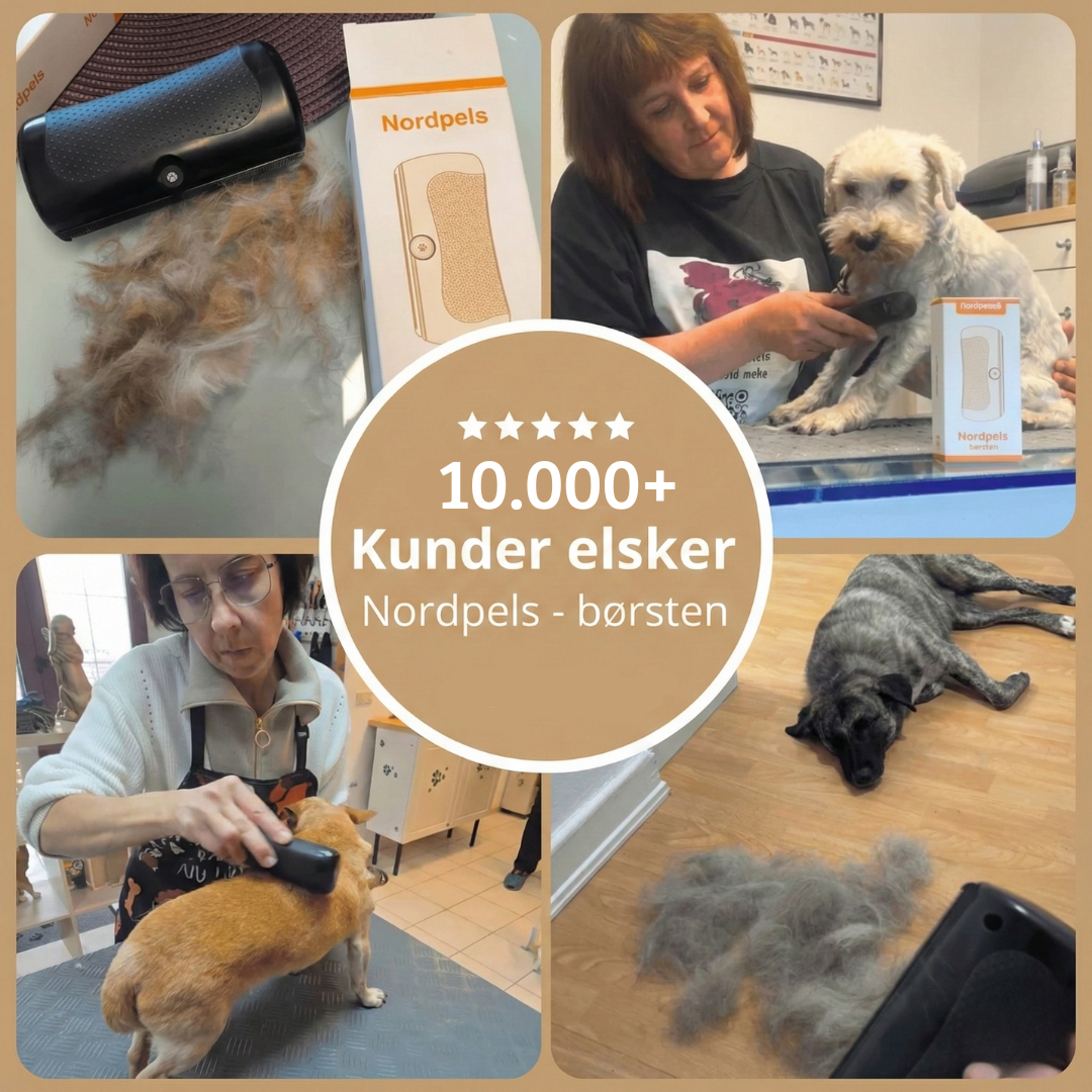 NordPels - Hundebørste