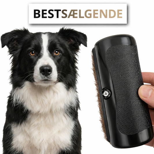 NordPels - Hundebørste