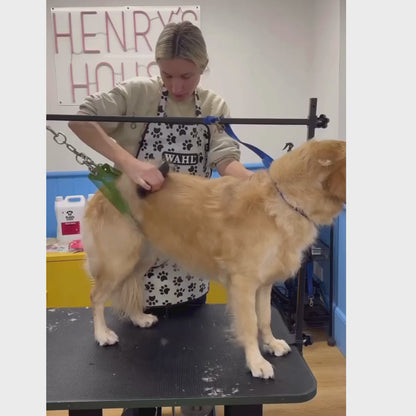 NordPels - Hundebørste